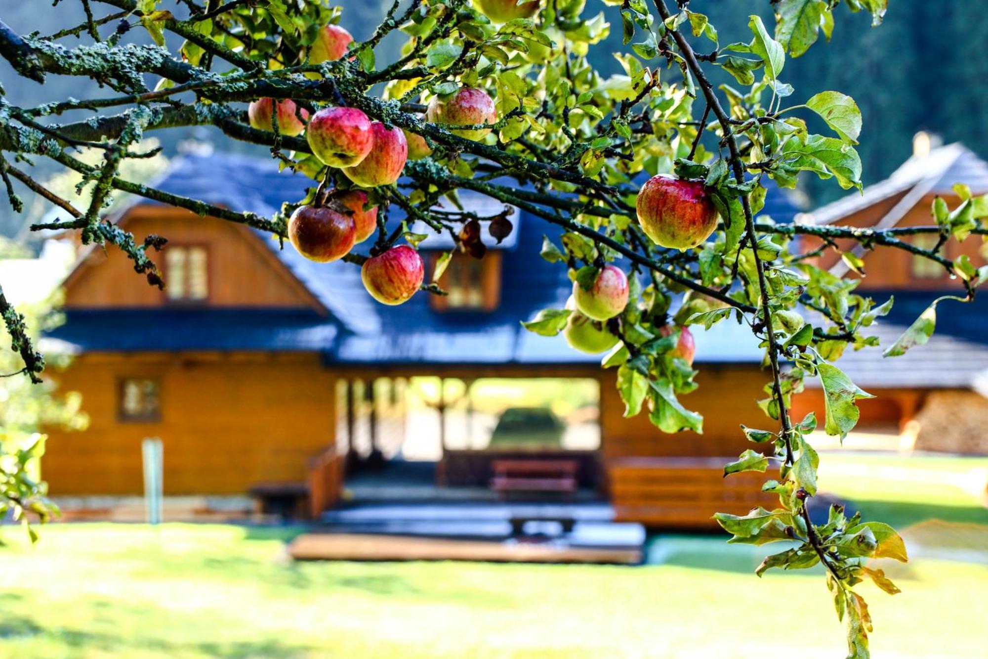 Valassky Dvur Velké Karlovice Exteriör bild